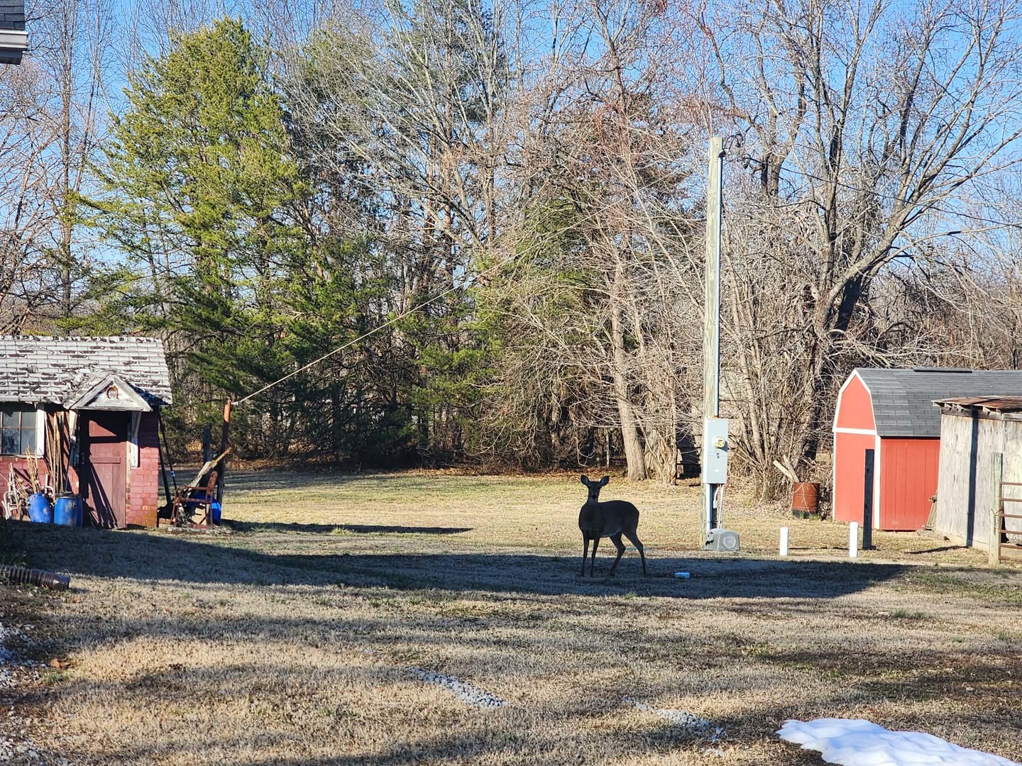 9721 Fox Hunters Road Mulkeytown, IL 62865 - Photo 3 of 32