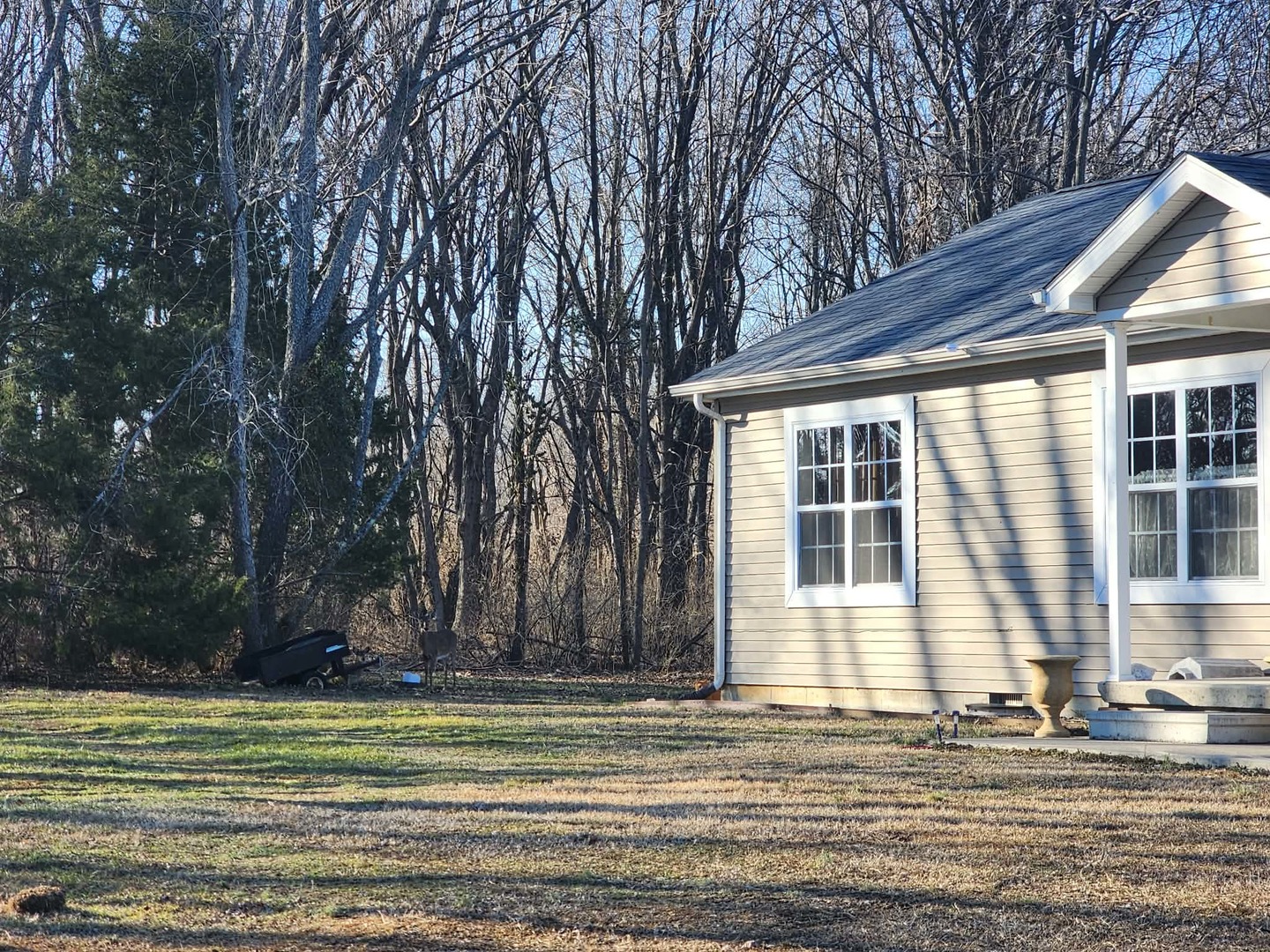 9721 Fox Hunters Road Mulkeytown, IL 62865 - Photo 4 of 32