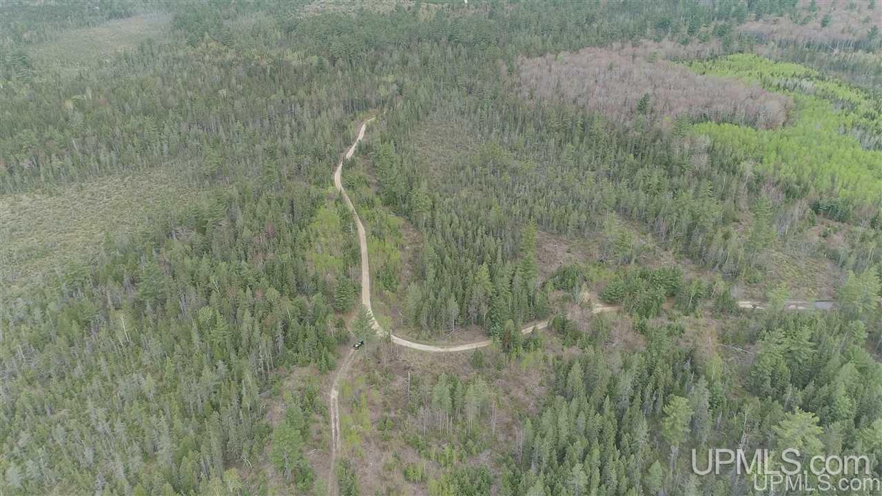 80-acres Camp 6 Road Newberry, MI 49853 - Photo 4 of 6