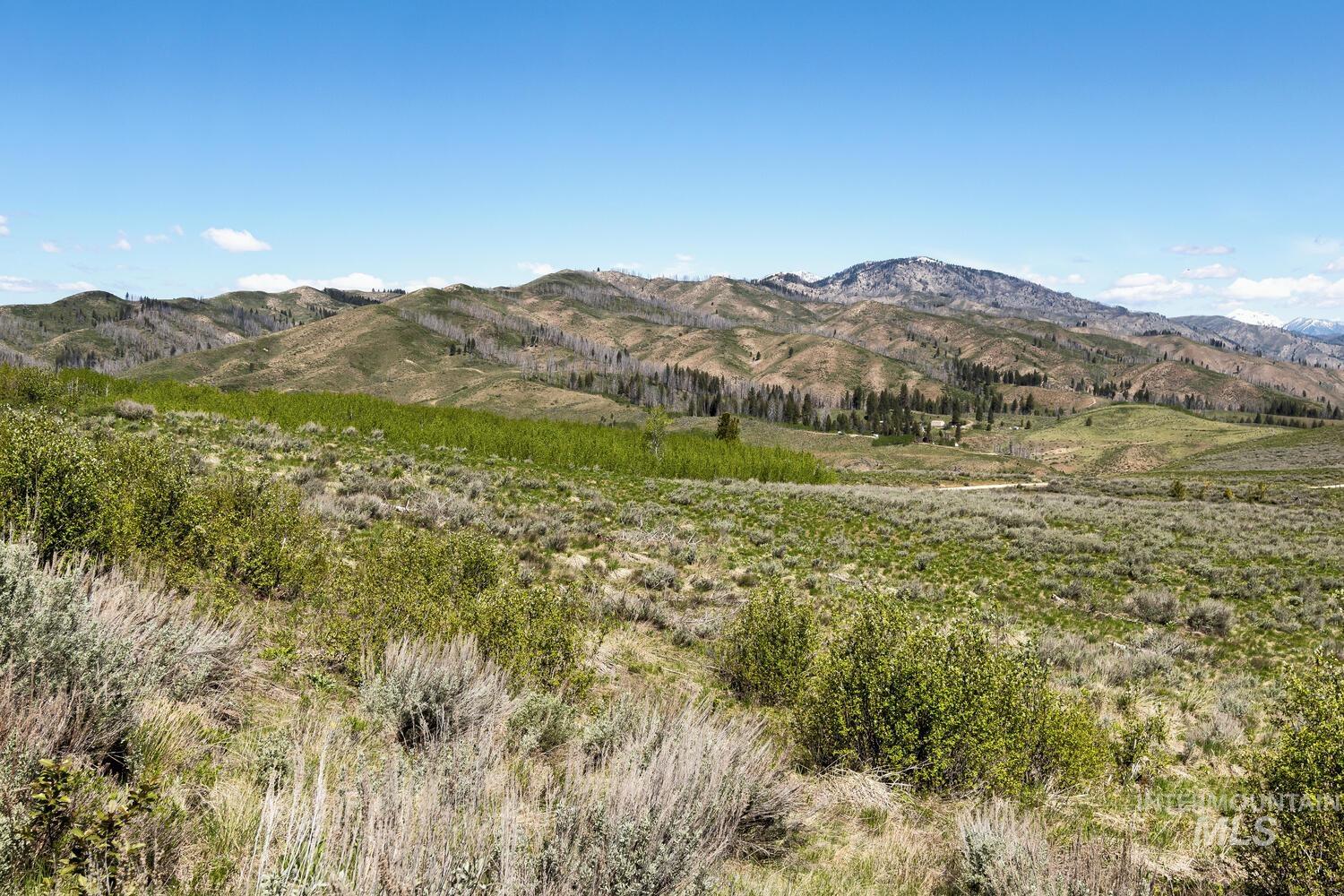 Tbd Tbd Rim View Dr Pine Mountain Home, ID 83647 - Photo 9 of 10