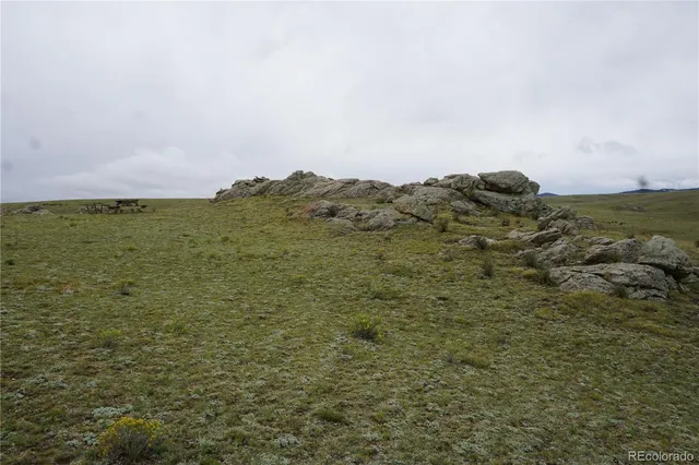 a view of a field with an ocean