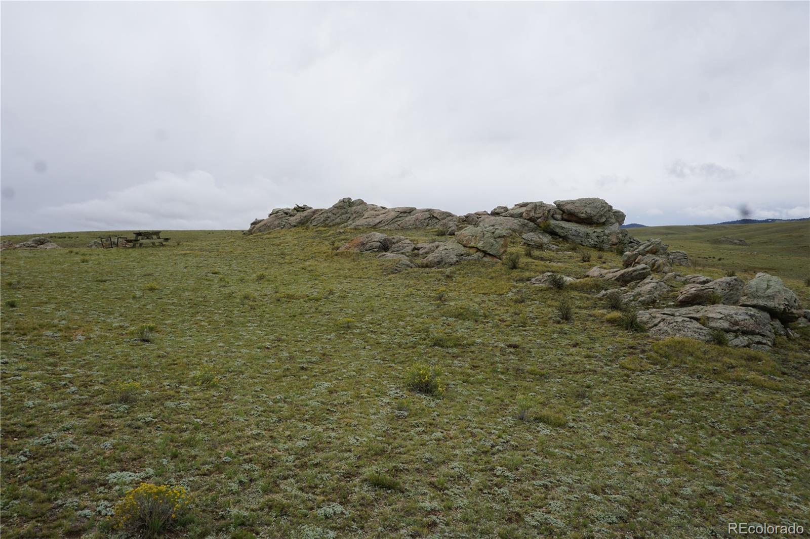 a view of a field with an ocean