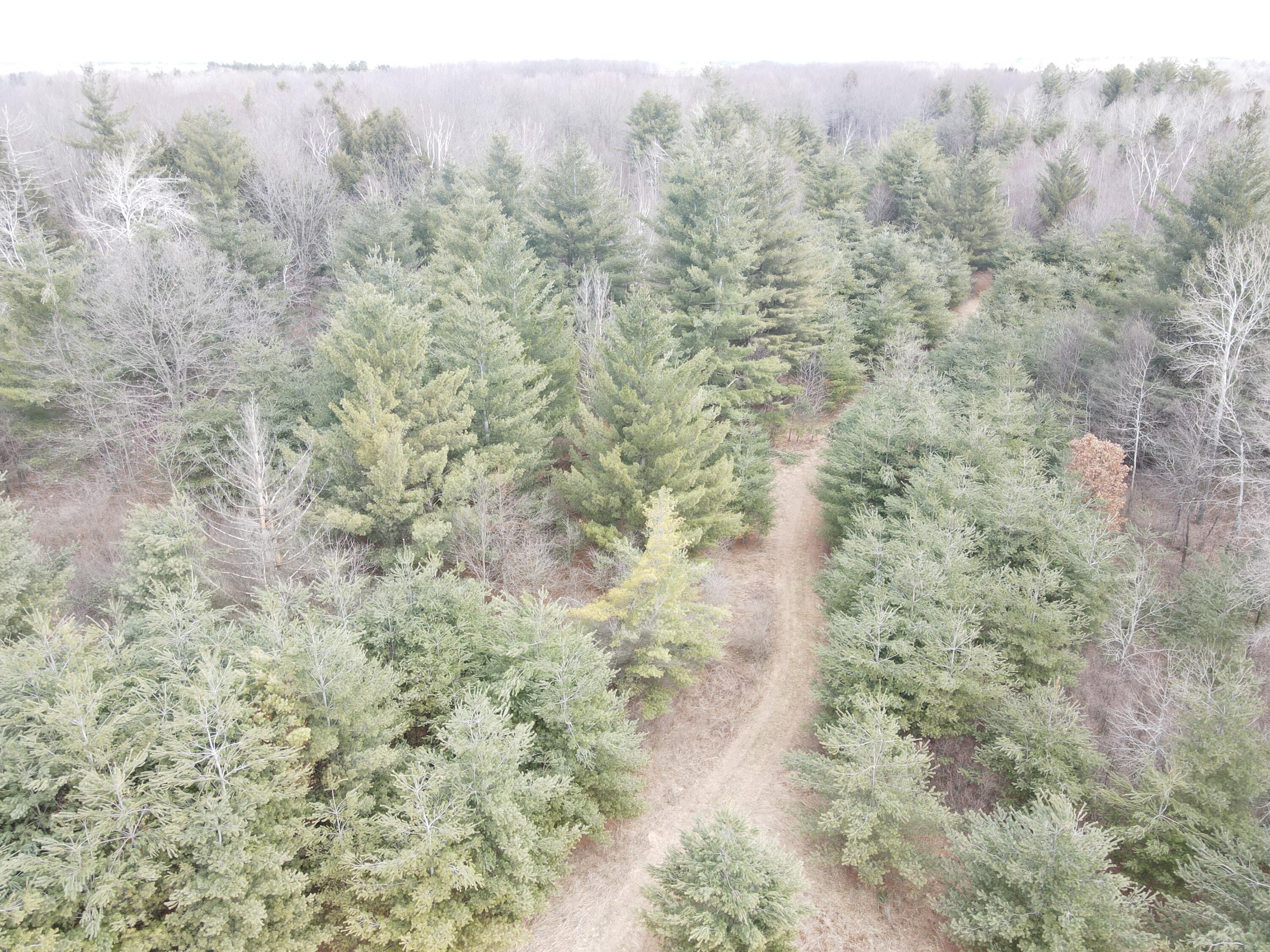 4 4 Mile Road Sears, MI 49679 - Photo 12 of 30 dji_fly_20260327_121448_364_177462810553