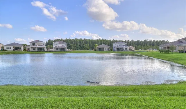 $3,495 | 31045 Lindentree Drive, Wesley Chapel, FL 33543