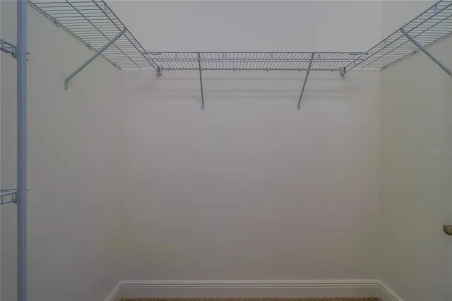 $3,495 | 31045 Lindentree Drive, Wesley Chapel, FL 33543