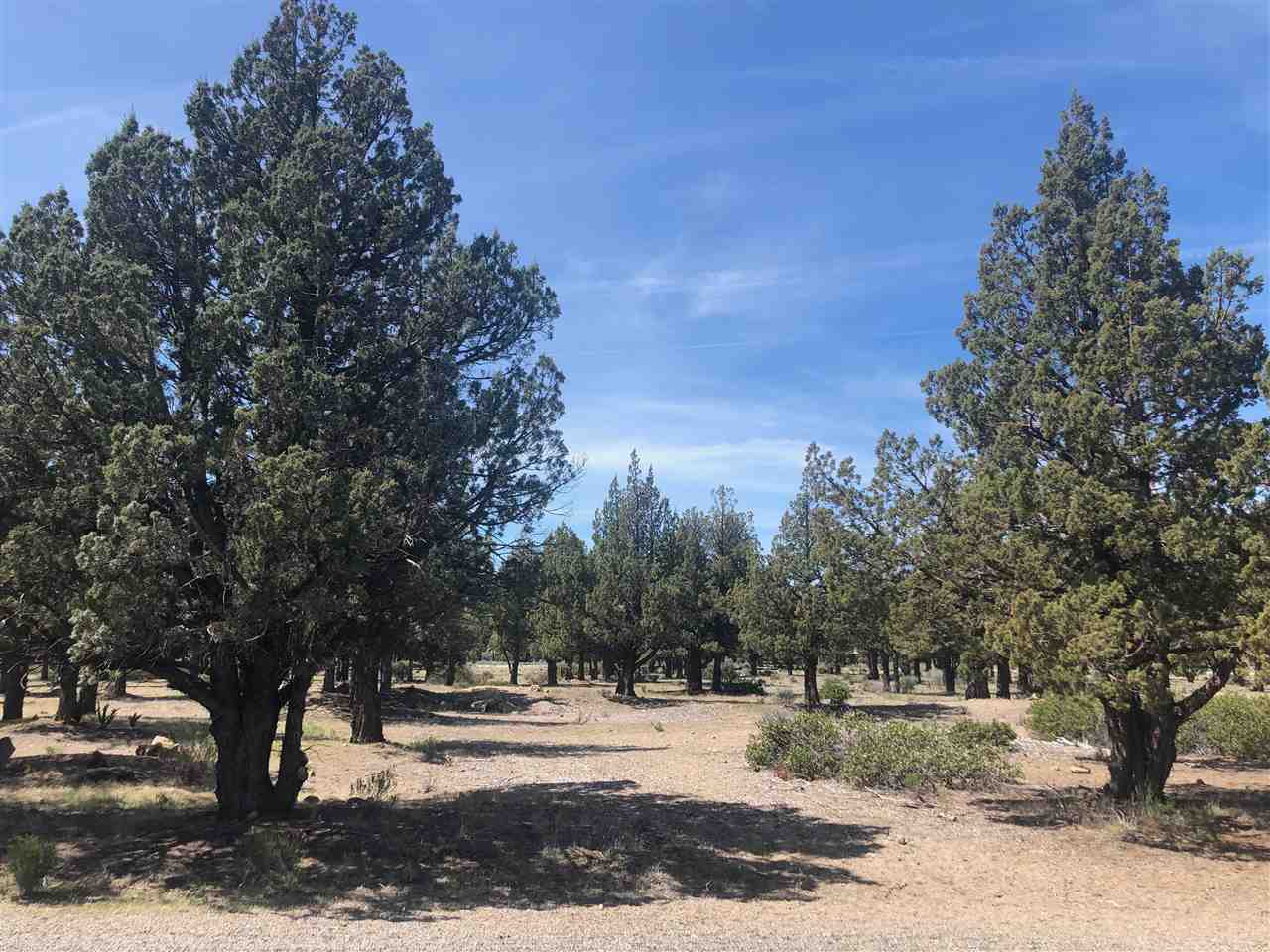 8-2 Unit Road Weed, CA 96094 - Photo 2 of 4 Gallery Image 2