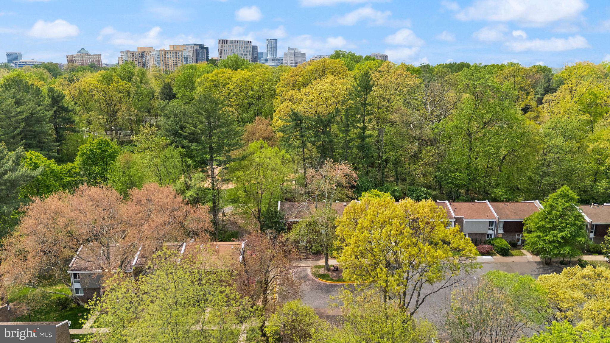 1717 Wainwright Drive Reston, VA 20190 - Photo 54 of 62 Gallery Image 54