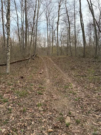 $450,000 | 0 Highway O Fredericktown Mo 63645, Fredericktown, MO 63645