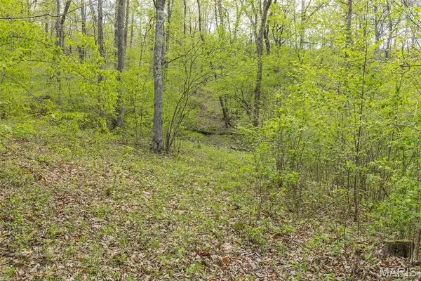 $450,000 | 0 Highway O Fredericktown Mo 63645, Fredericktown, MO 63645