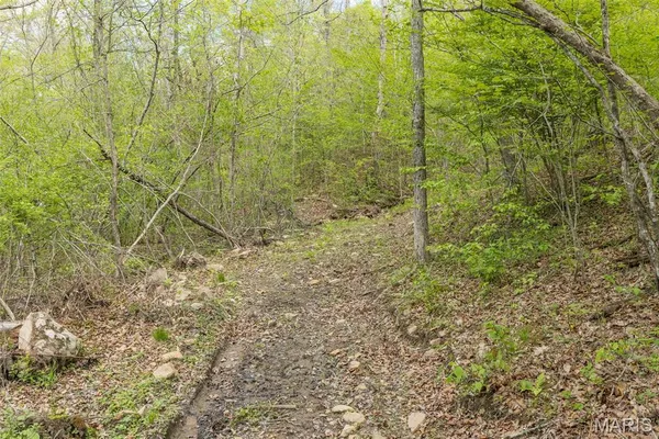 $450,000 | 0 Highway O Fredericktown Mo 63645, Fredericktown, MO 63645