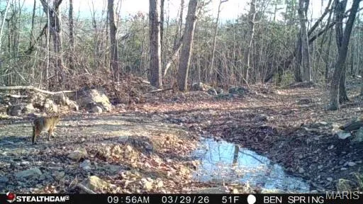 $450,000 | 0 Highway O Fredericktown Mo 63645, Fredericktown, MO 63645