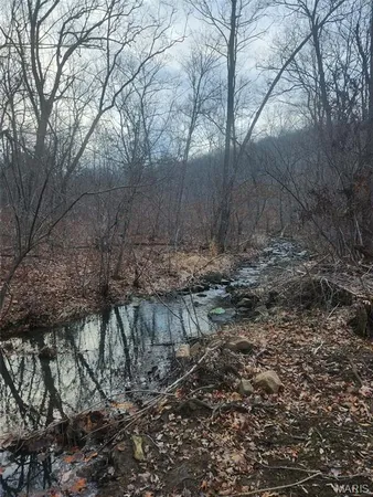 $450,000 | 0 Highway O Fredericktown Mo 63645, Fredericktown, MO 63645