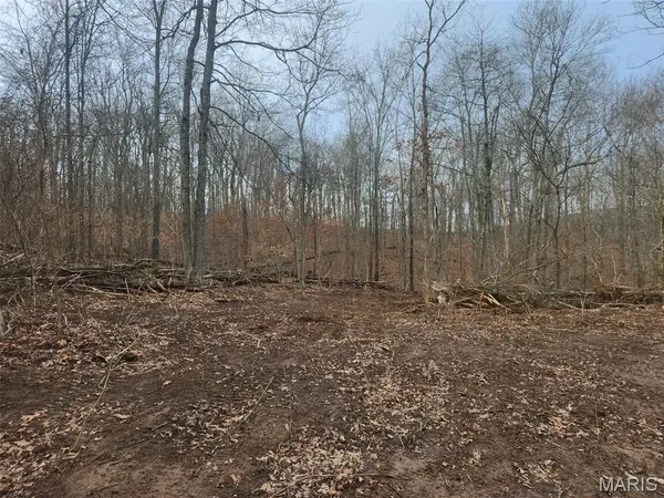 $450,000 | 0 Highway O Fredericktown Mo 63645, Fredericktown, MO 63645