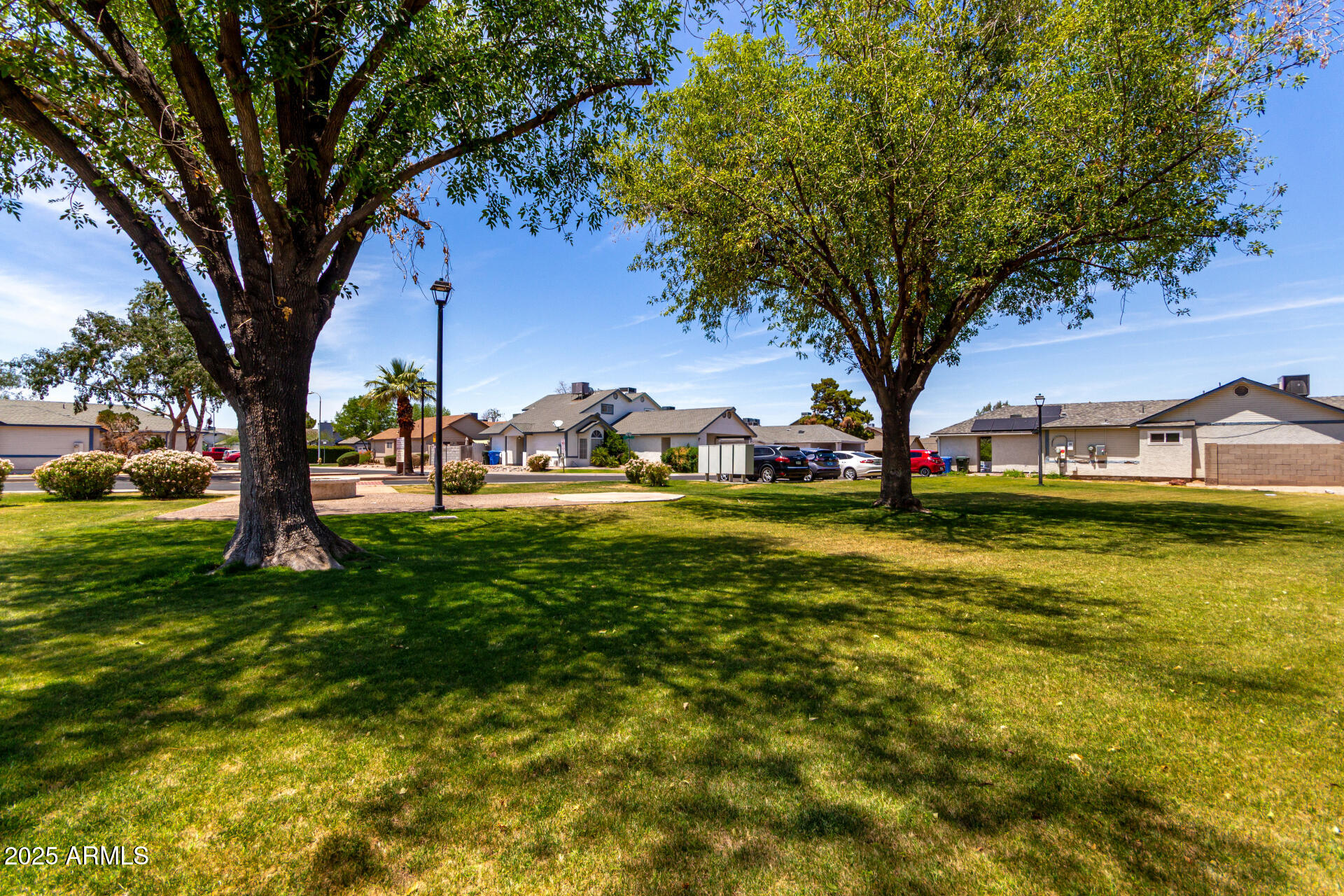 4162 East Wayland Road Phoenix, AZ 85040 - Photo 34 of 36 a view of a trees with a yard