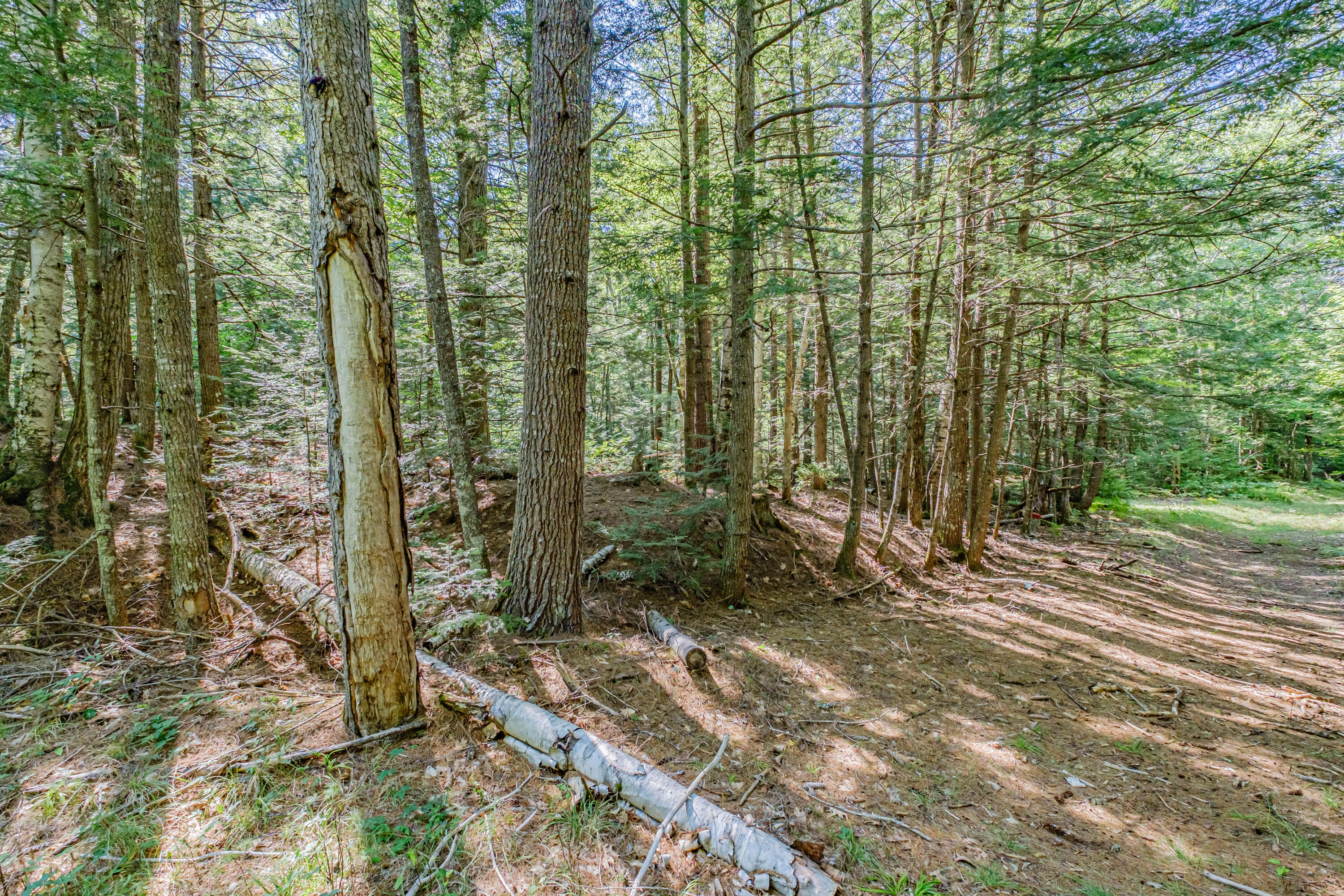 Lot 22 A Forest Denmark, ME 04022 - Photo 5 of 11 450A559E-5924-4B6E-8F0B-536C14662E26