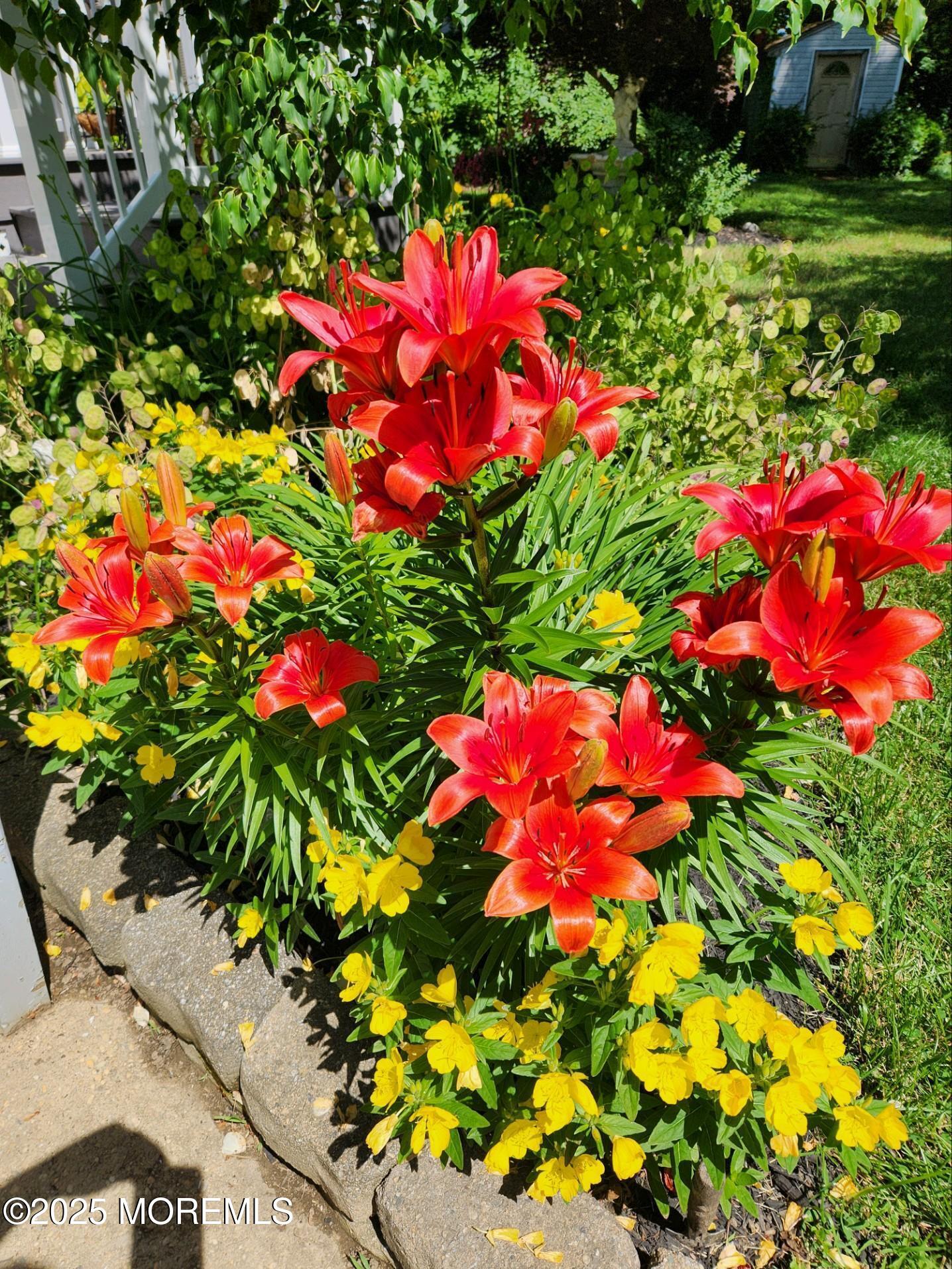 101 Millbrook Place Middletown, NJ 07748 - Photo 43 of 58 a view of a flower