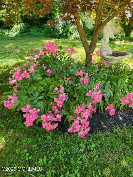 101 Millbrook Place Middletown, NJ 07748 - Photo 44 of 58 a view of a flower in a yard