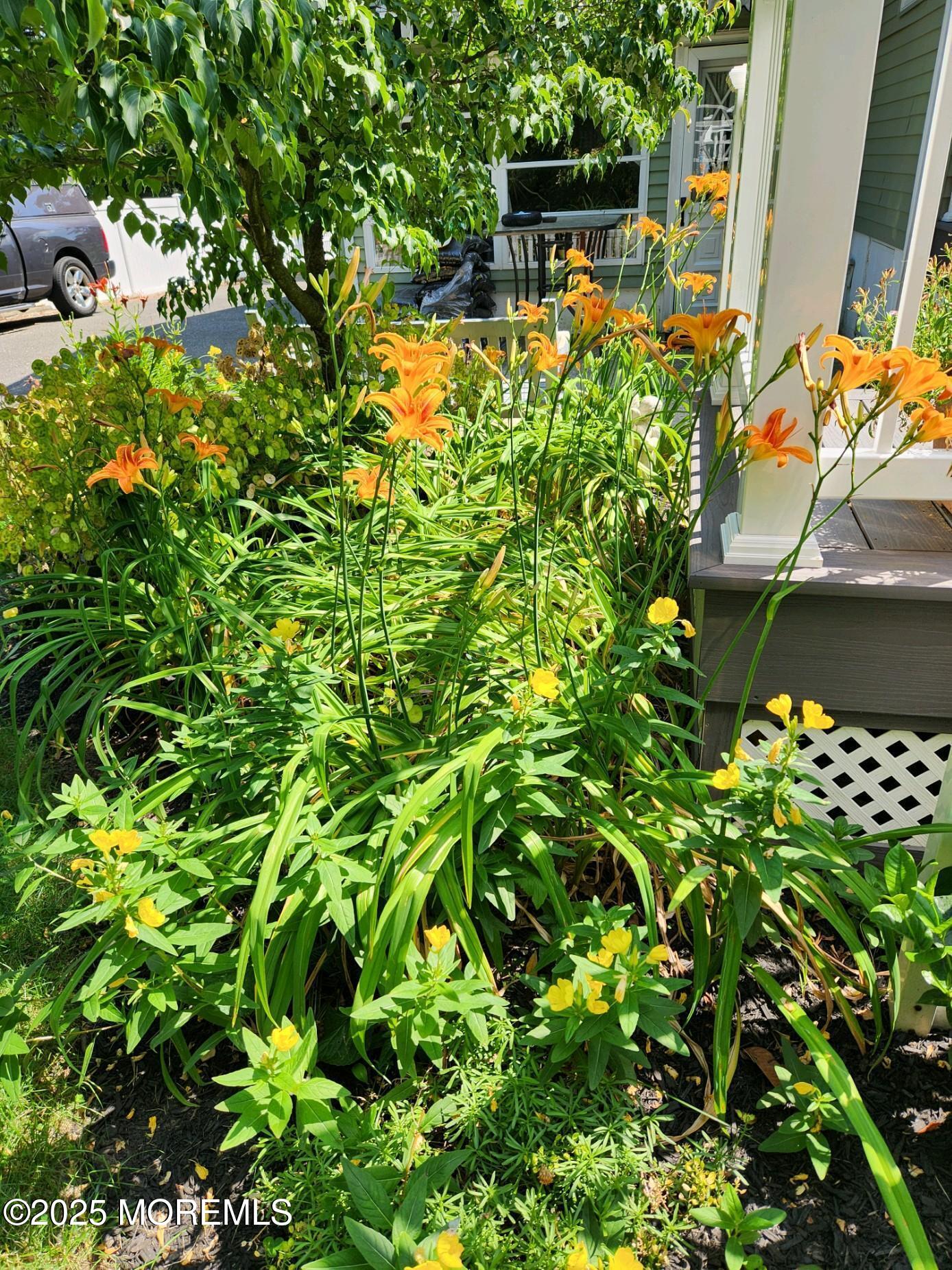101 Millbrook Place Middletown, NJ 07748 - Photo 45 of 58 a backyard of a house with lots of green space