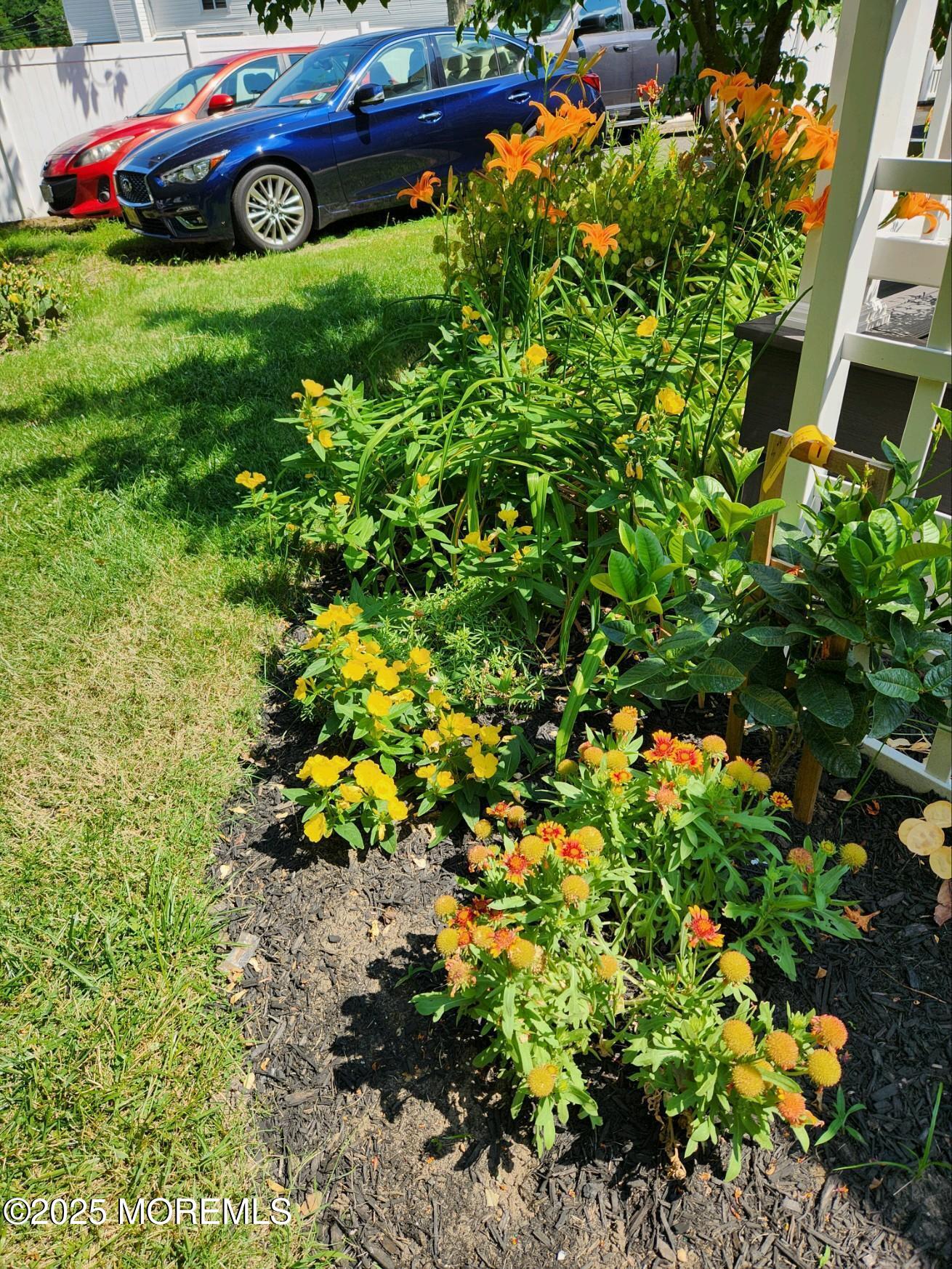 101 Millbrook Place Middletown, NJ 07748 - Photo 48 of 58 a view of a yard with plants and bench