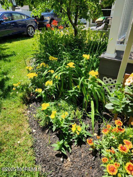 101 Millbrook Place Middletown, NJ 07748 - Photo 50 of 58 Resized_20240607_105411_1725481767200