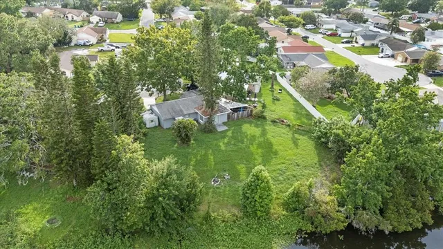 a view of a garden with plants