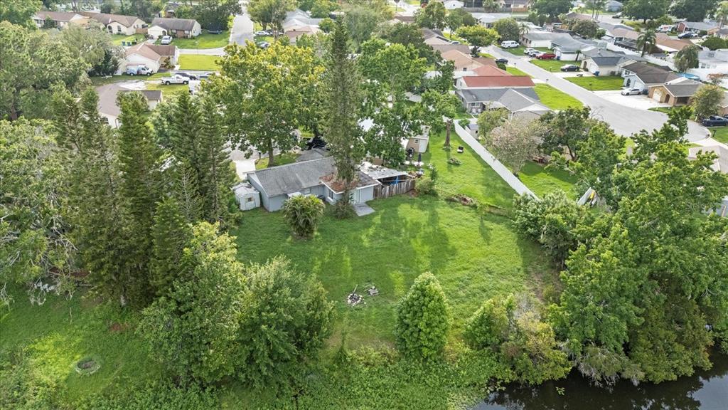 7445 Daggett Terrace New Port Richey, FL 34655 - Photo 34 of 35 a view of a garden