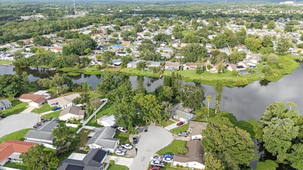 7445 Daggett Terrace New Port Richey, FL 34655 - Photo 35 of 35 a view of a garden with plants