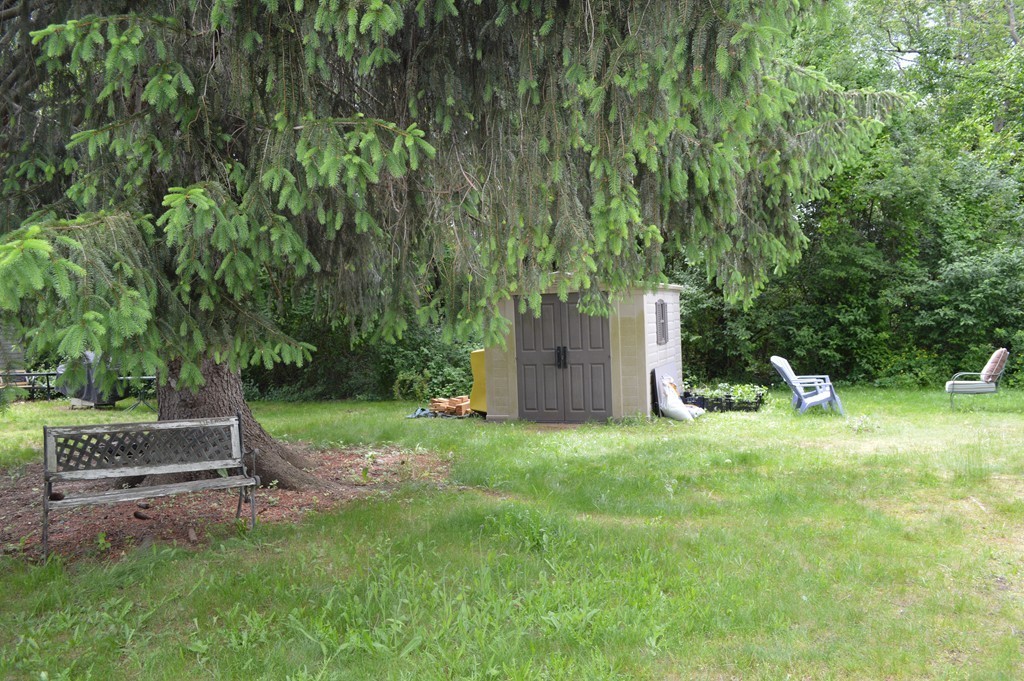 185 Maple Street, Unit 185 Needham, MA 02492 - Photo 12 of 12 Gallery Image 12