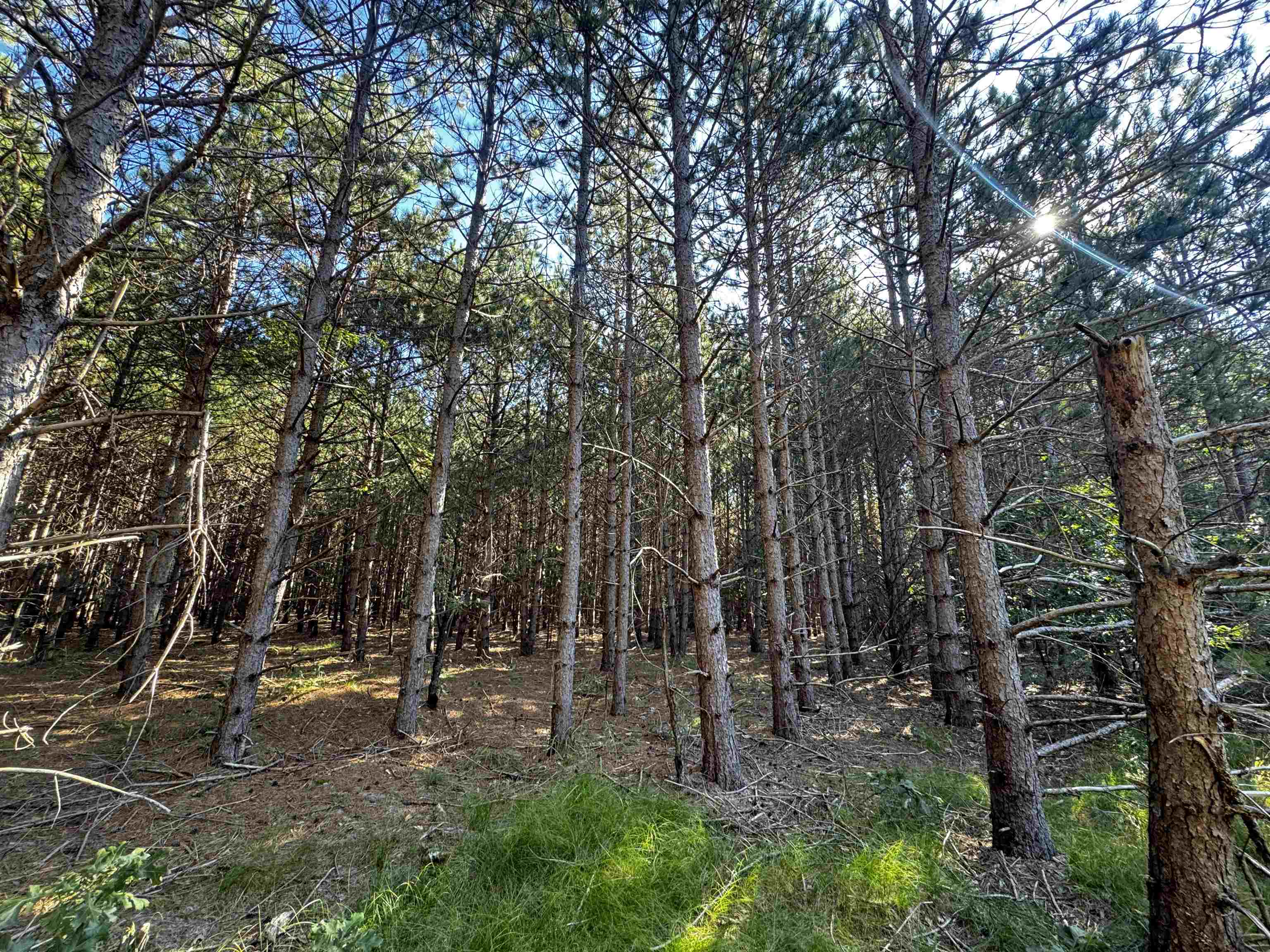 80-ac 80-ac 9th Friendship, WI 53934 - Photo 12 of 53