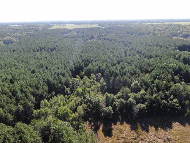 $400,000 | 80-ac 80-ac 9th, Friendship, WI 53934