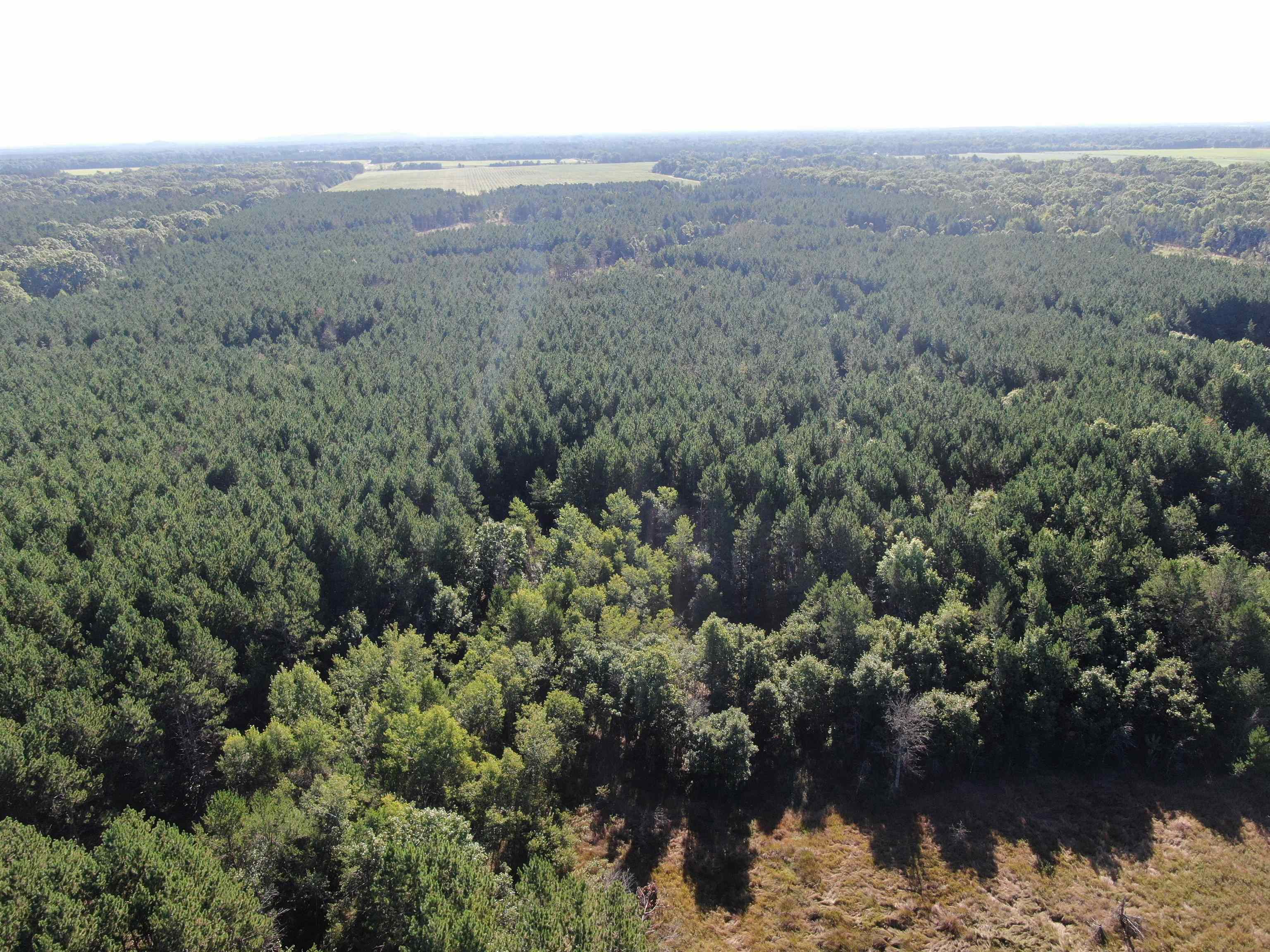 80-ac 80-ac 9th Friendship, WI 53934 - Photo 19 of 53