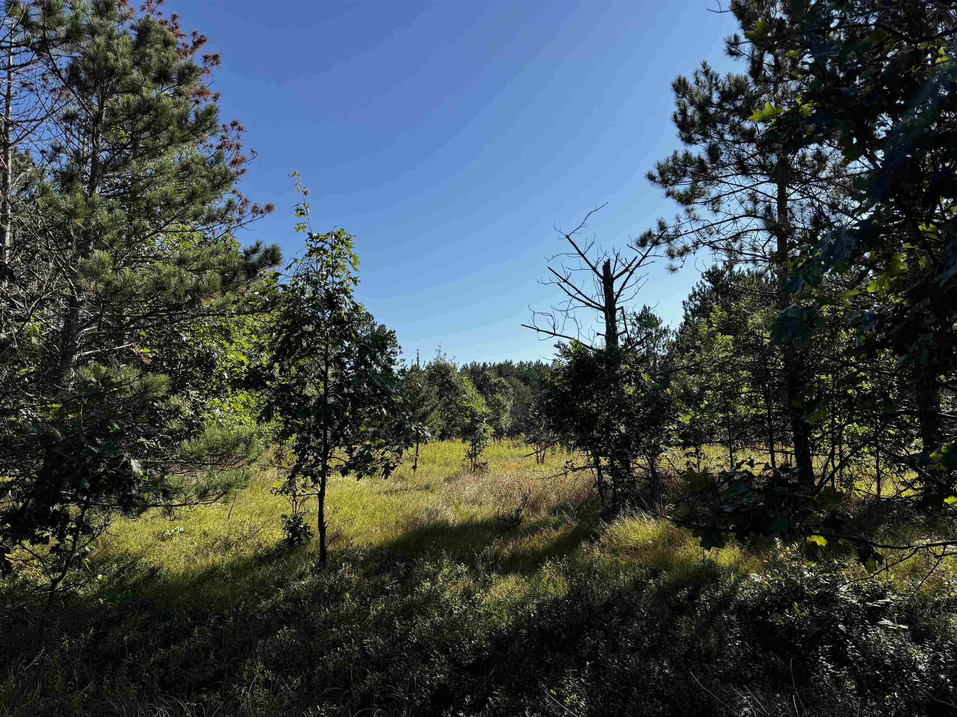 80-ac 80-ac 9th Friendship, WI 53934 - Photo 36 of 53