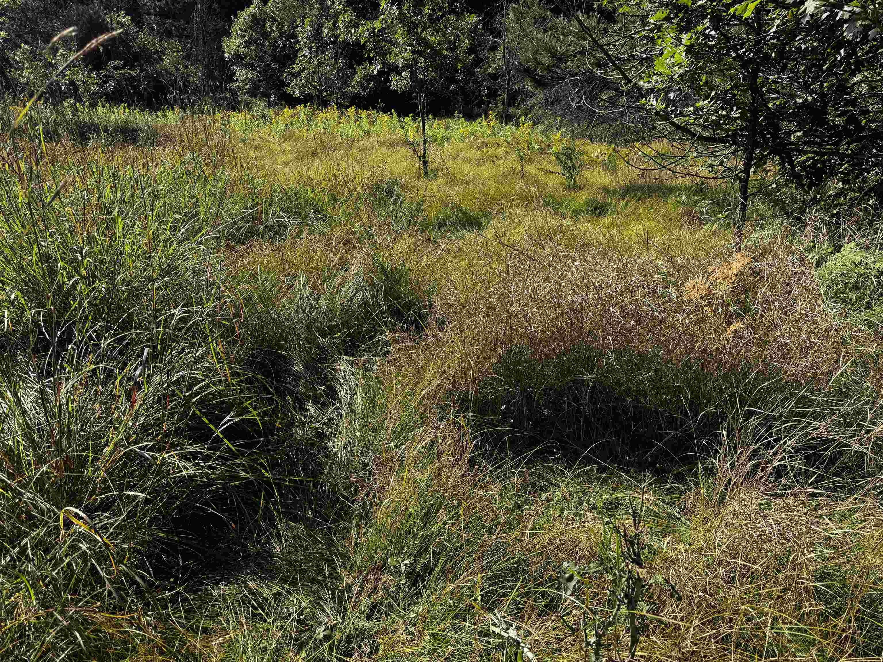 80-ac 80-ac 9th Friendship, WI 53934 - Photo 38 of 53