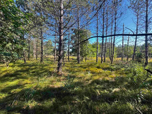 $400,000 | 80-ac 80-ac 9th, Friendship, WI 53934