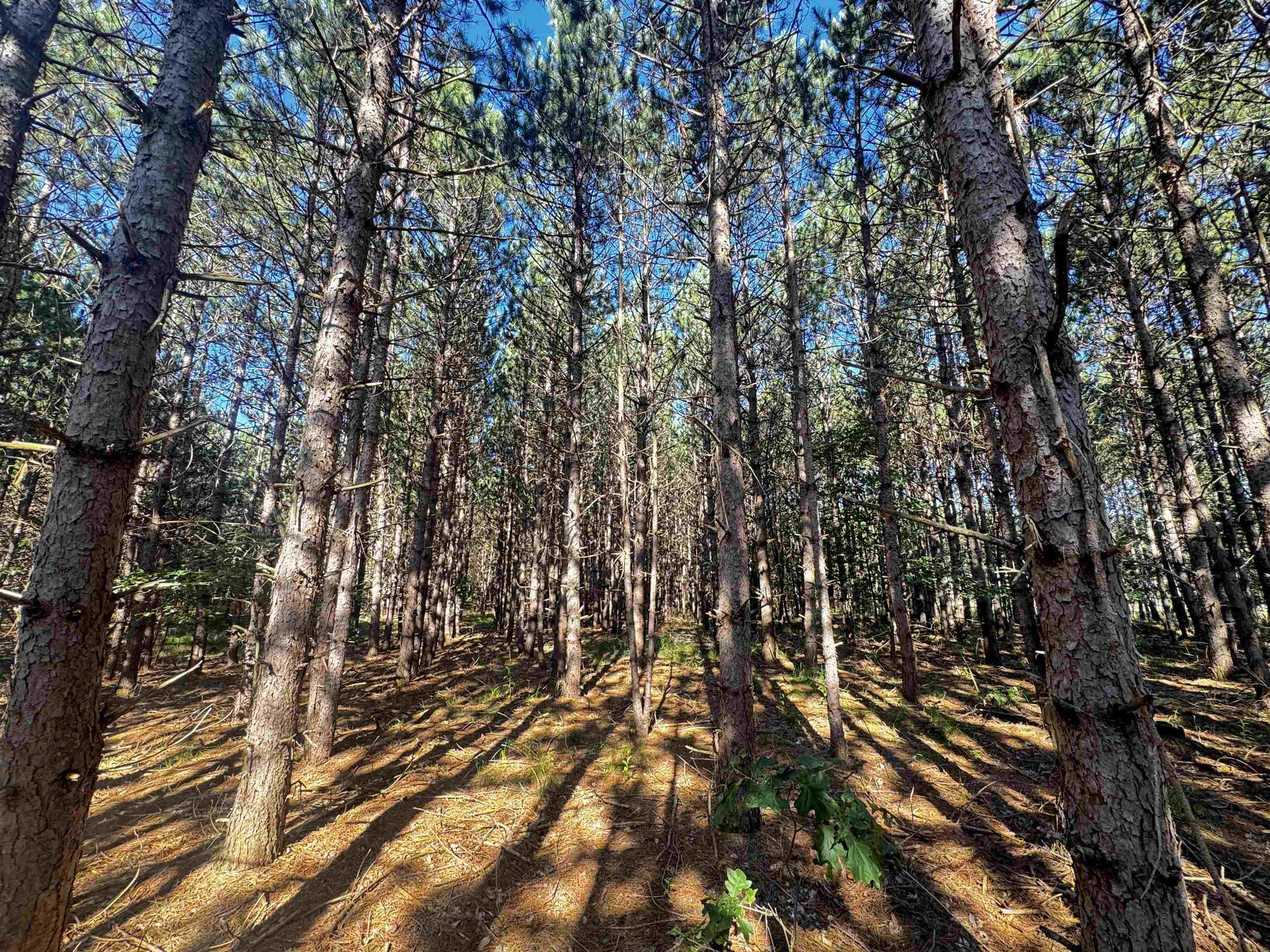 80-ac 80-ac 9th Friendship, WI 53934 - Photo 43 of 53