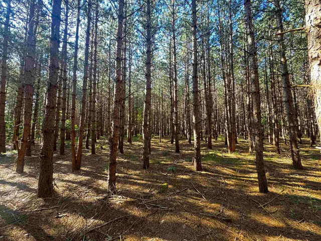 $400,000 | 80-ac 80-ac 9th, Friendship, WI 53934