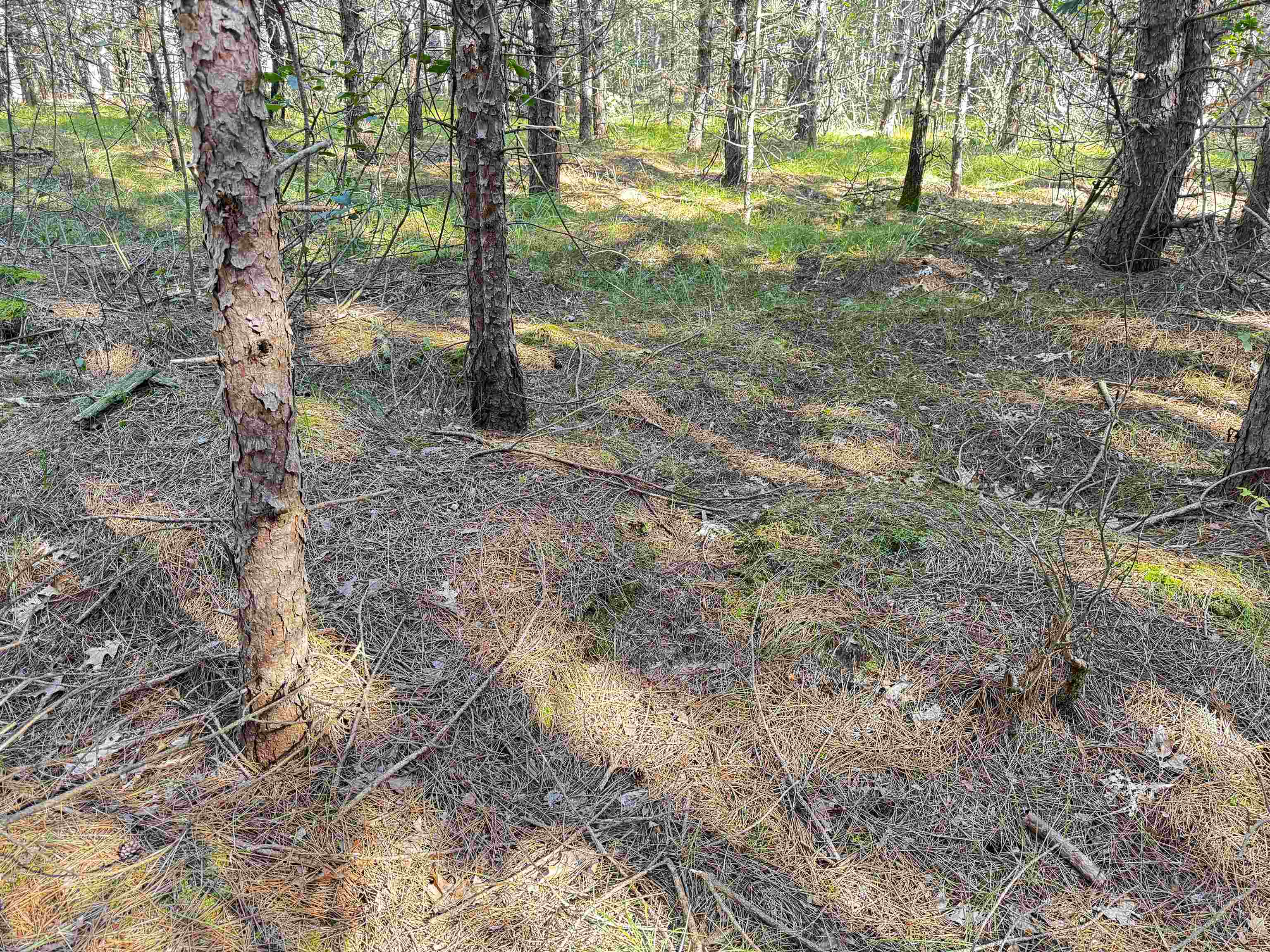 80-ac 80-ac 9th Friendship, WI 53934 - Photo 45 of 53