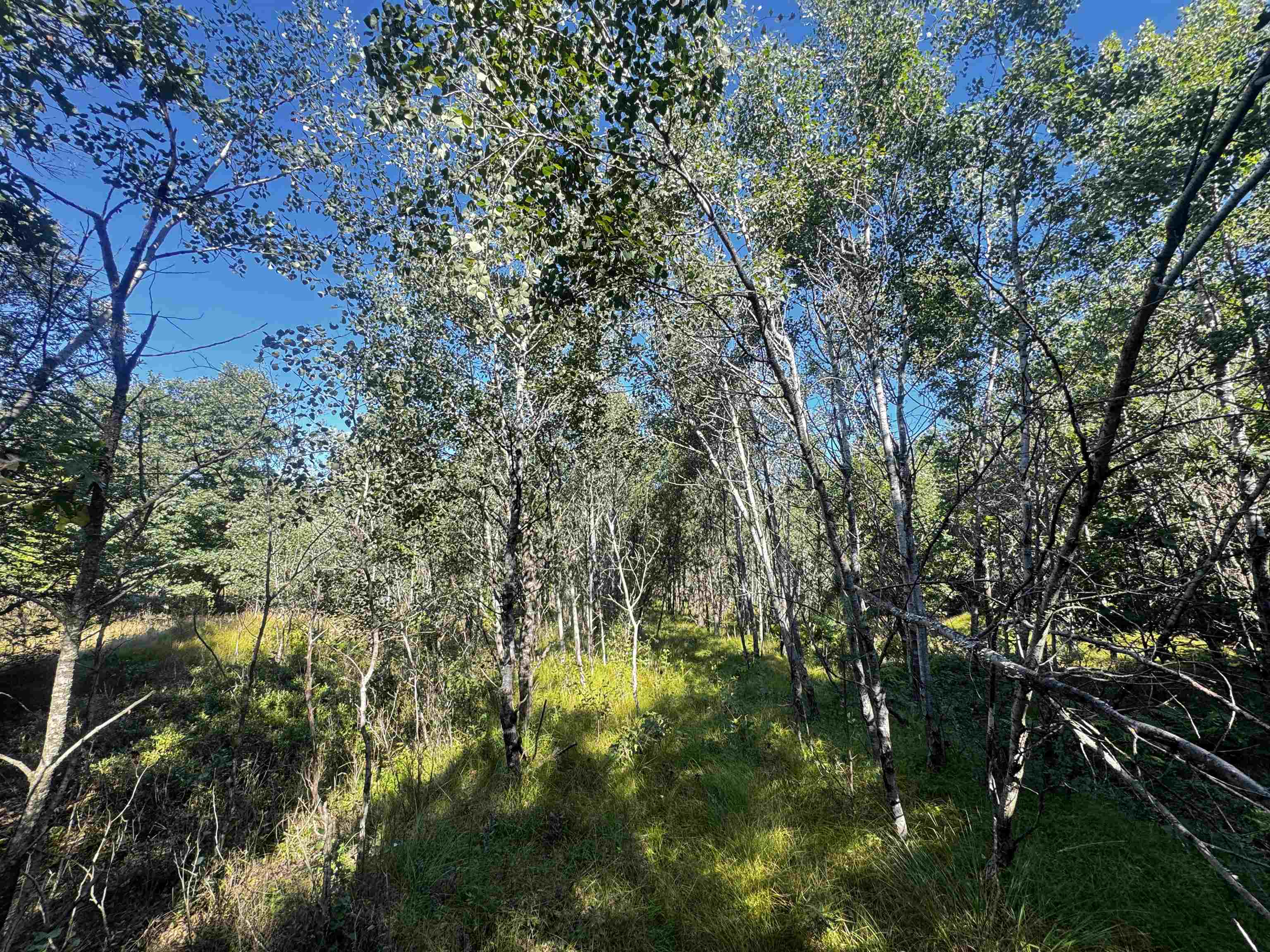 80-ac 80-ac 9th Friendship, WI 53934 - Photo 46 of 53