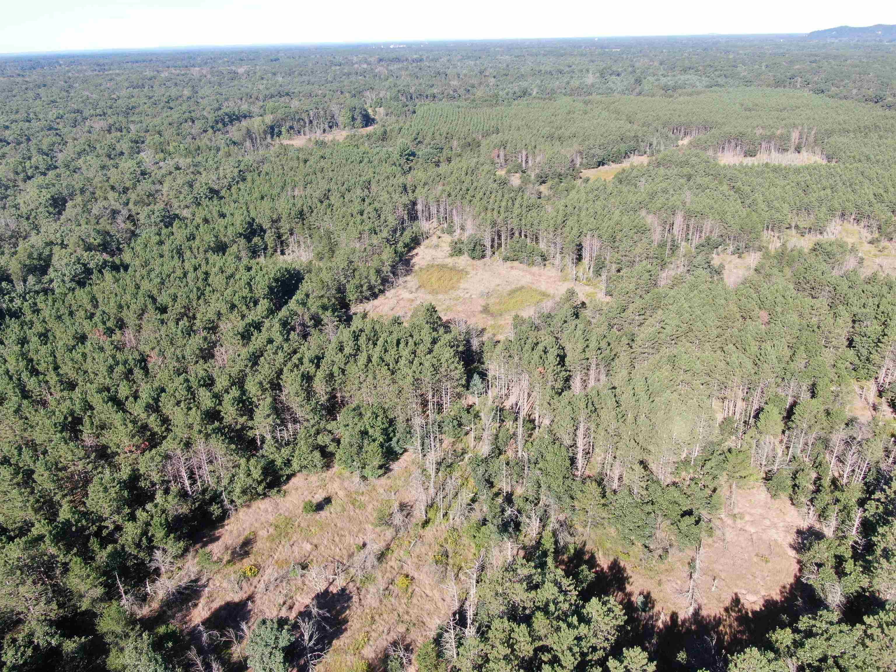 80-ac 80-ac 9th Friendship, WI 53934 - Photo 50 of 53