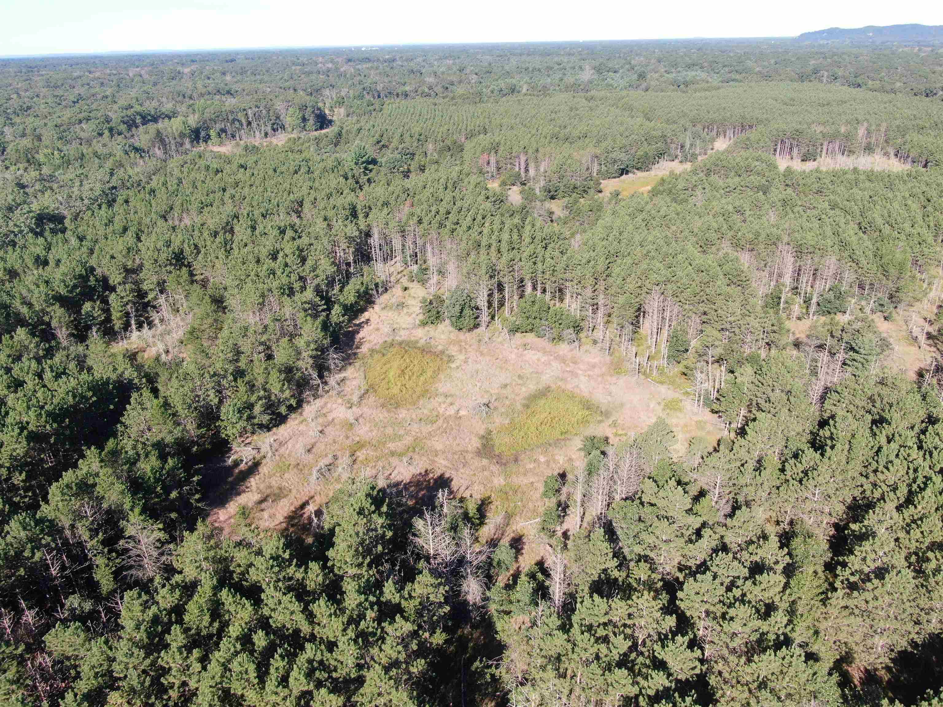 80-ac 80-ac 9th Friendship, WI 53934 - Photo 51 of 53