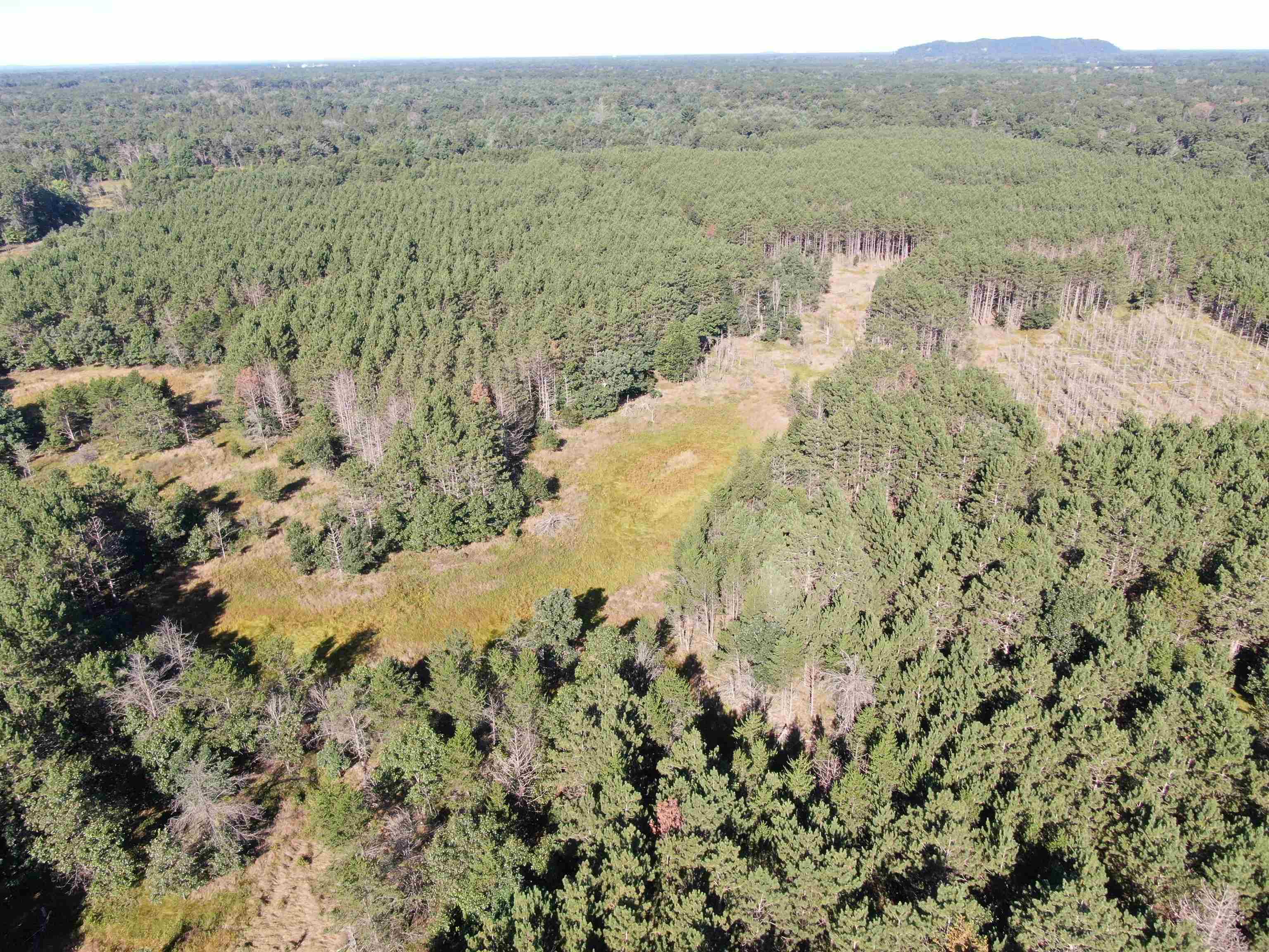 80-ac 80-ac 9th Friendship, WI 53934 - Photo 52 of 53