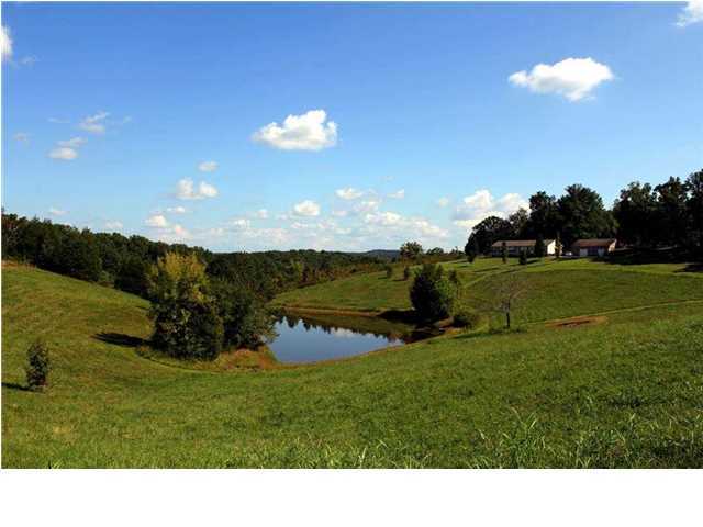 188 Heck Road Decatur, TN 37322 - Photo 3 of 36 Additional Photo