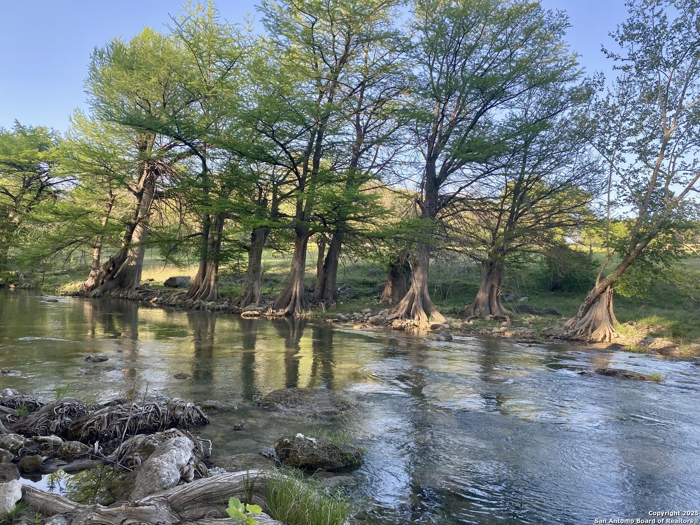 1160 Whispering Water Spring Branch, TX 78070 - Photo 14 of 19