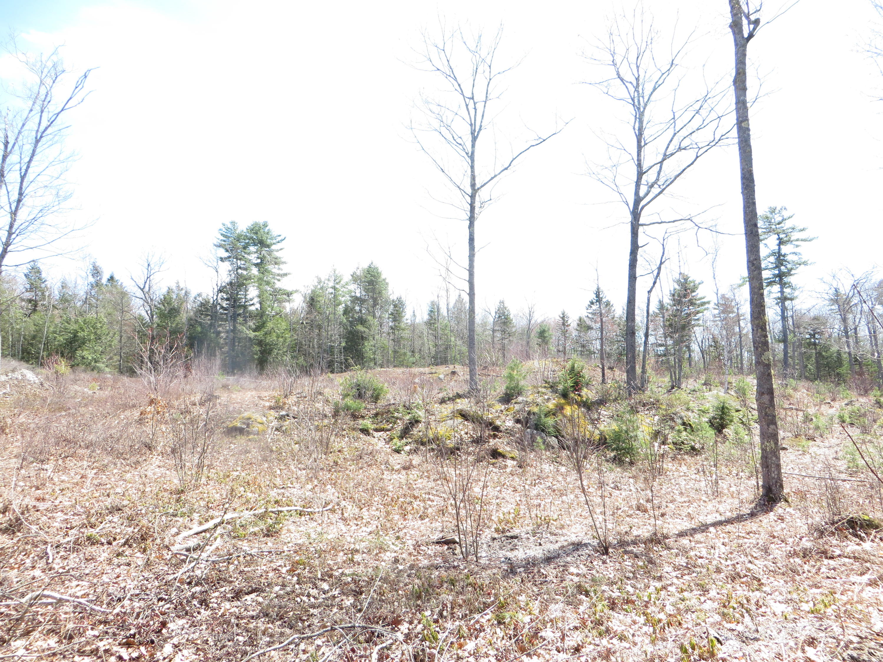 Lot57-10 Winterberry Road West Bath, ME 04530 - Photo 23 of 24 21