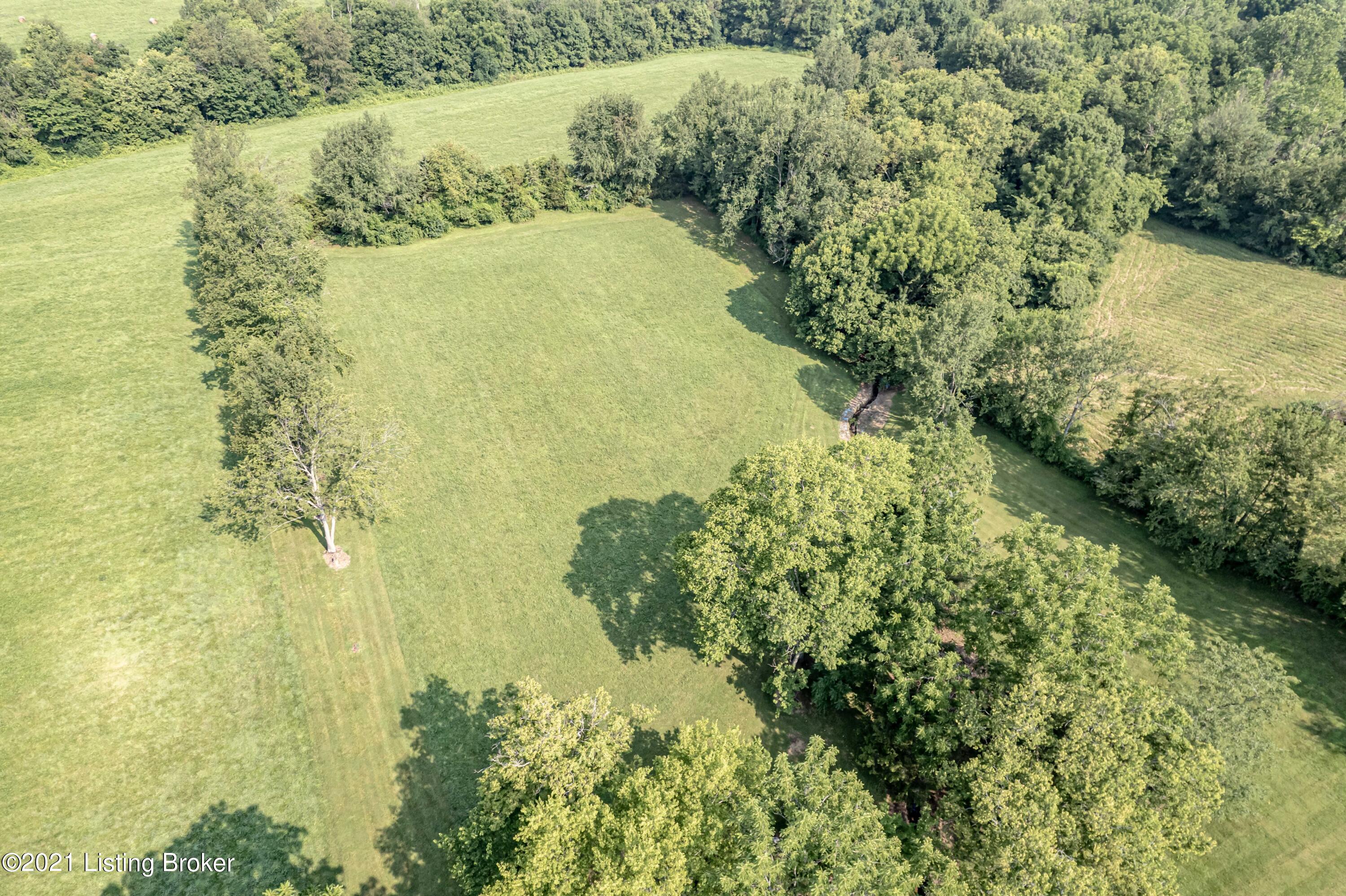 335 Sacree Road Shelbyville, KY 40065 - Photo 35 of 38 Yard