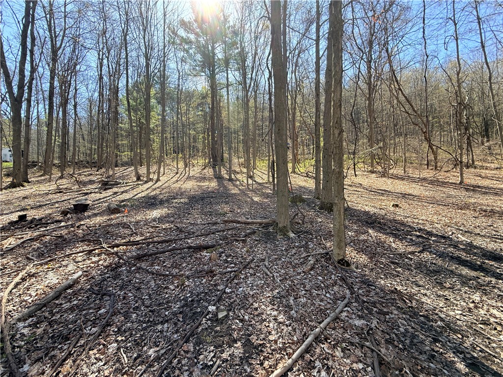 Fitzgerald Road Burdett, NY 14818 - Photo 1 of 9