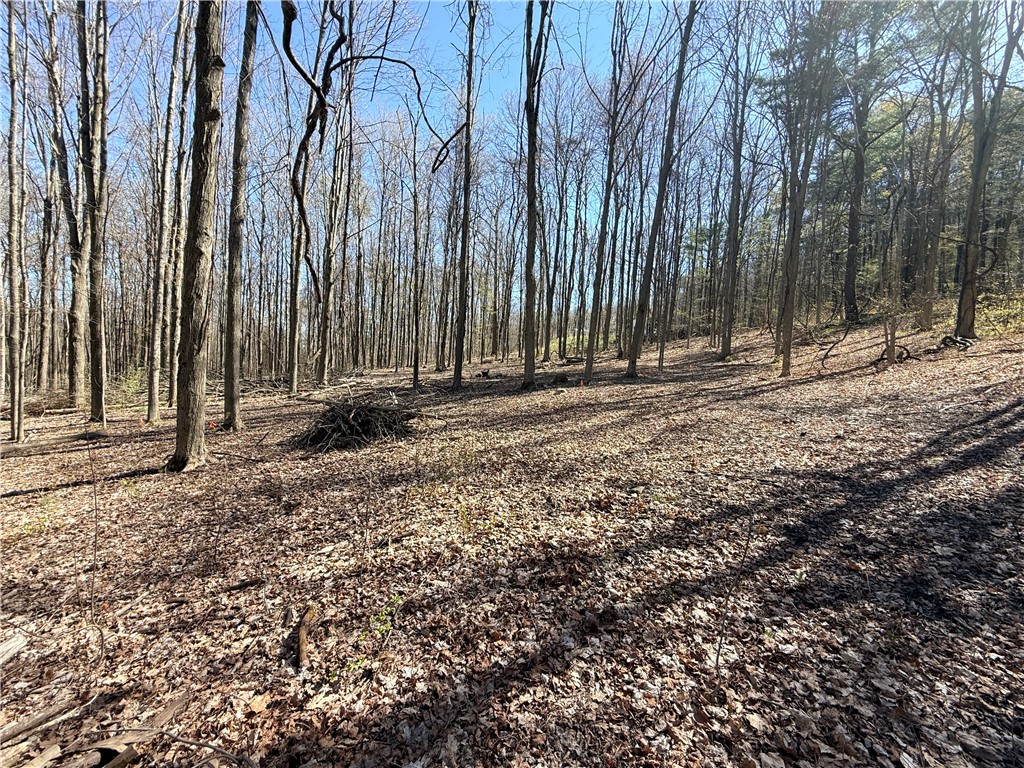 Fitzgerald Road Burdett, NY 14818 - Photo 2 of 9