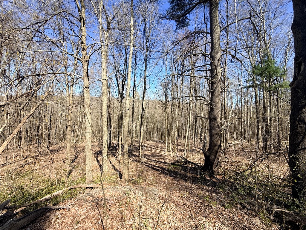 Fitzgerald Road Burdett, NY 14818 - Photo 4 of 9