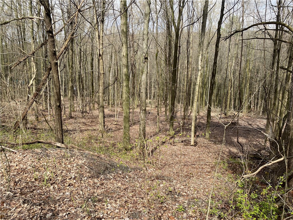 Fitzgerald Road Burdett, NY 14818 - Photo 6 of 9
