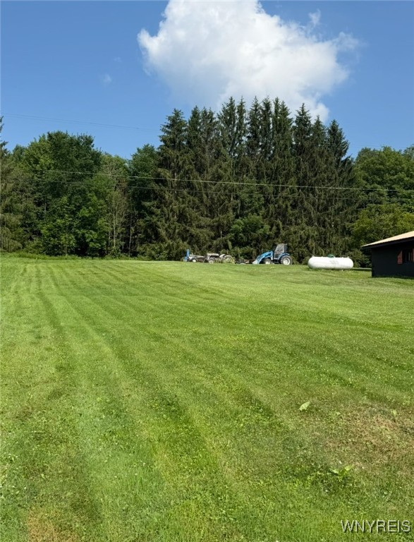 11553 Brown Schoolhouse Road Freedom, NY 14065 - Photo 21 of 22